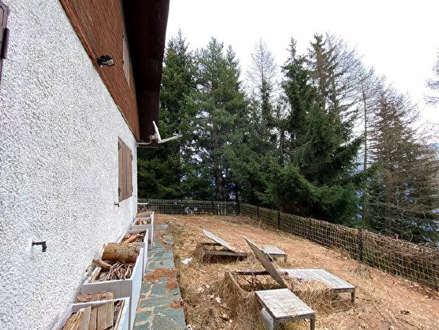 Immagine 4 di Appartamento in vendita  a Tresivio