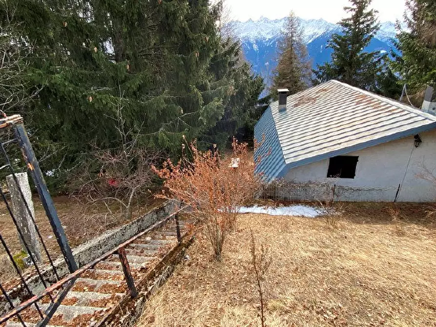 Immagine 6 di Appartamento in vendita  a Tresivio