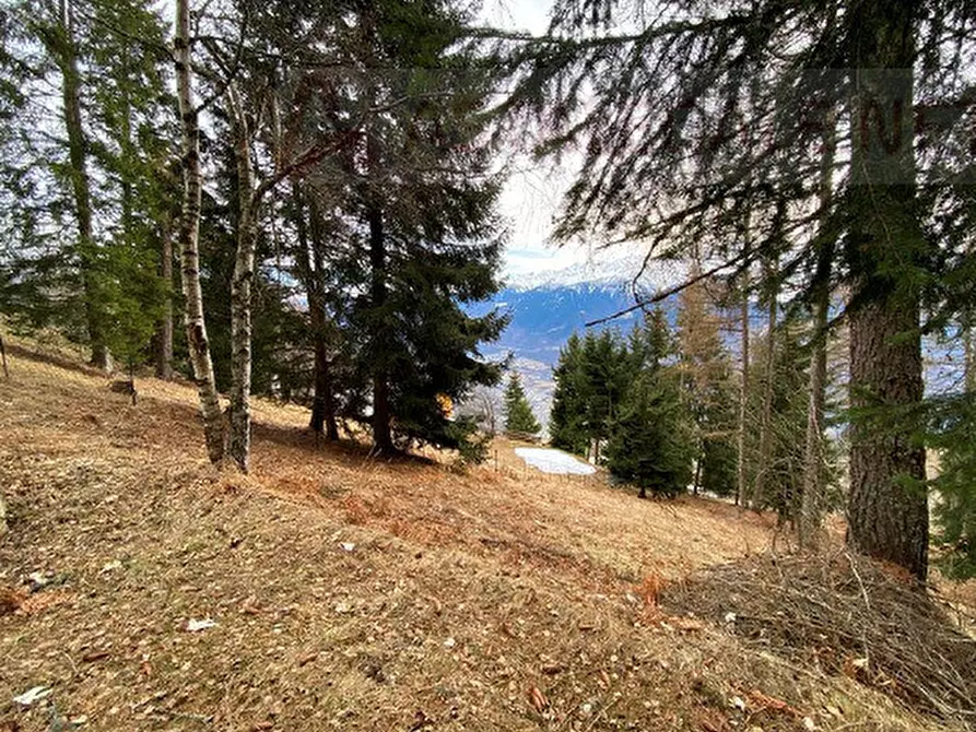 Immagine 7 di Appartamento in vendita  a Tresivio