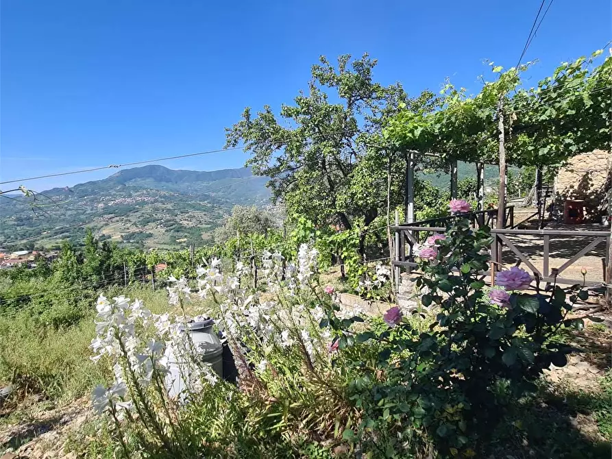 Immagine 29 di Appartamento in vendita  in Contrada Barassano a Foglianise