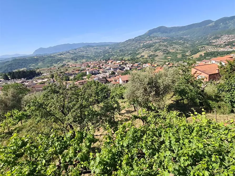Immagine 32 di Appartamento in vendita  in Contrada Barassano a Foglianise