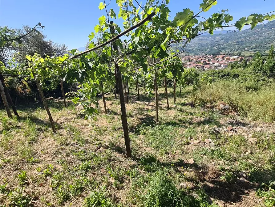 Immagine 36 di Appartamento in vendita  in Contrada Barassano a Foglianise