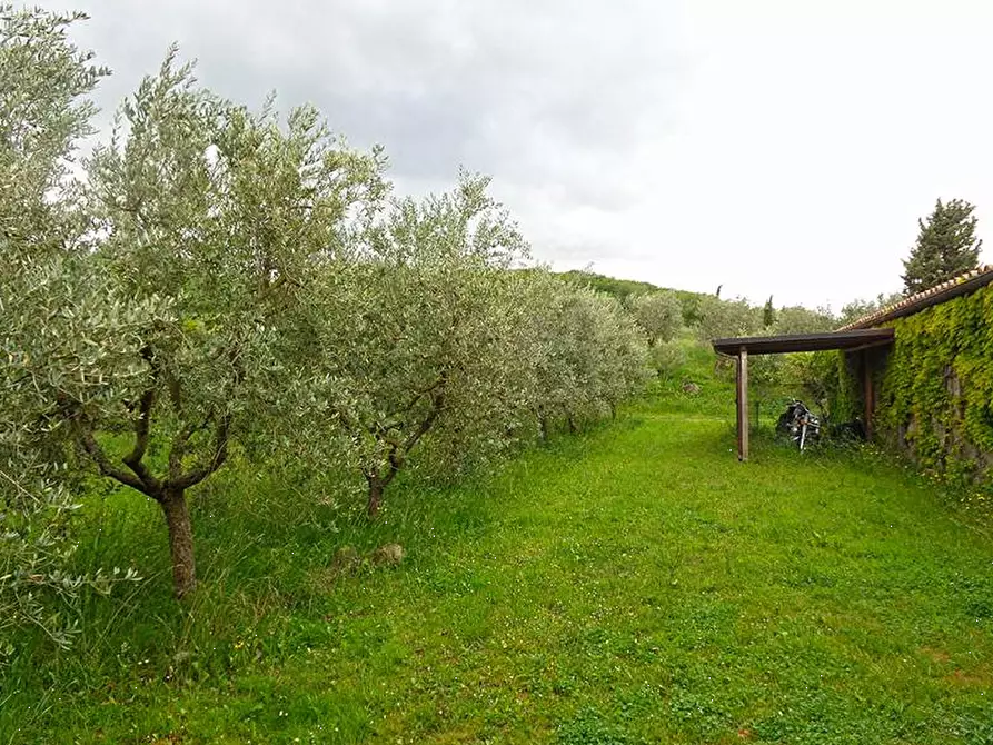 Immagine 13 di Villa in vendita  in Via del Pozzo 1 a Pienza