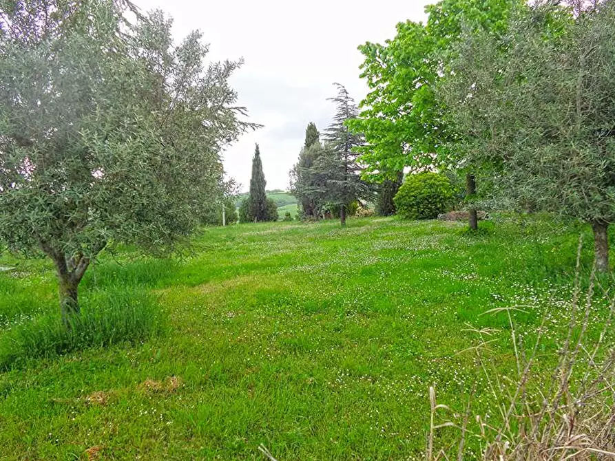Immagine 37 di Villa in vendita  in Via del Pozzo 1 a Pienza