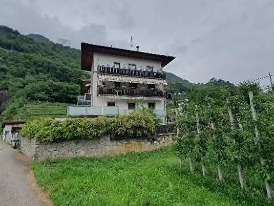 Immagine 3 di Appartamento in vendita  in Nazario Sauro a Merano .Meran.