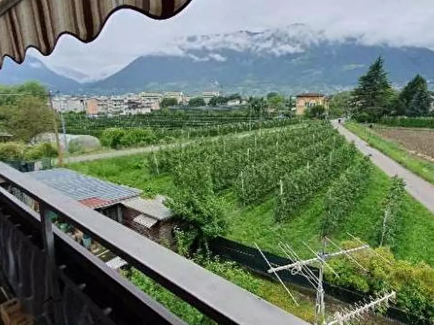 Immagine 5 di Appartamento in vendita  in Nazario Sauro a Merano .Meran.