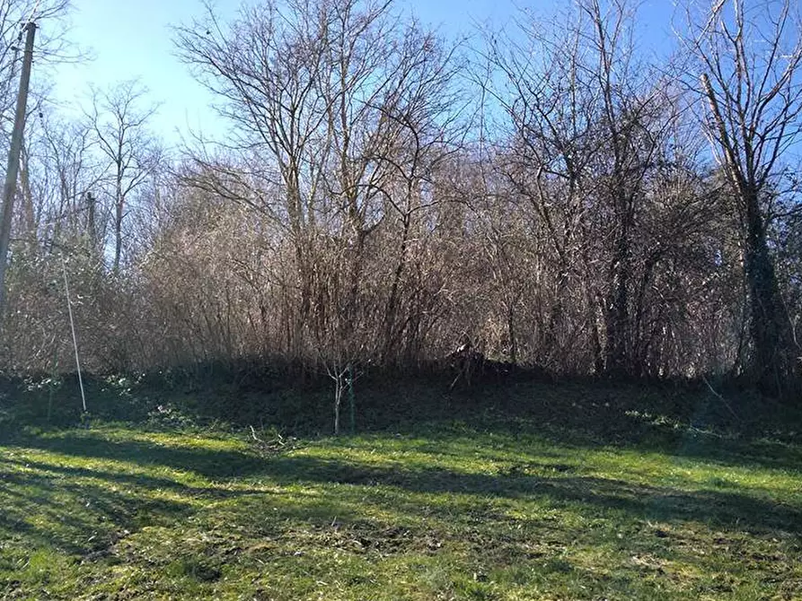 Immagine 17 di Trilocale in vendita  in della Ricessa  6 a Pratovecchio