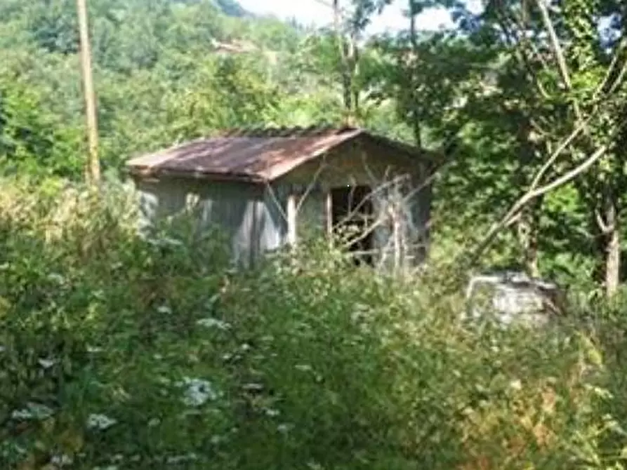 Immagine 19 di Trilocale in vendita  in della Ricessa  6 a Pratovecchio