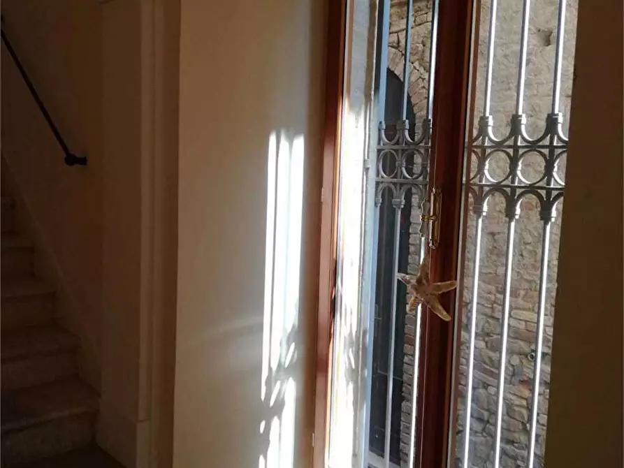 Immagine 6 di Villa in vendita  a Silvi