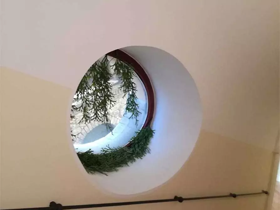 Immagine 17 di Villa in vendita  a Silvi