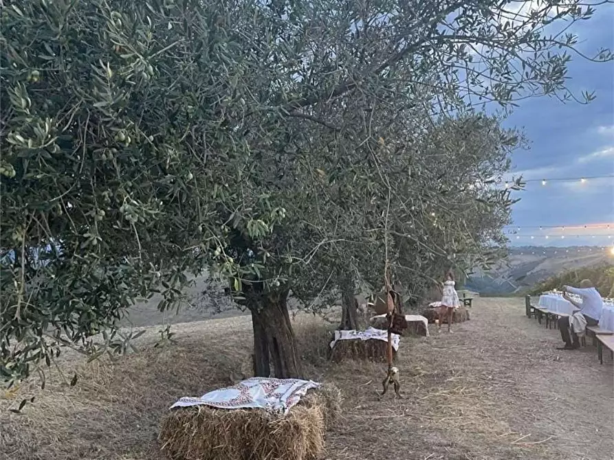 Immagine 5 di Negozio in affitto  a Città Sant'angelo