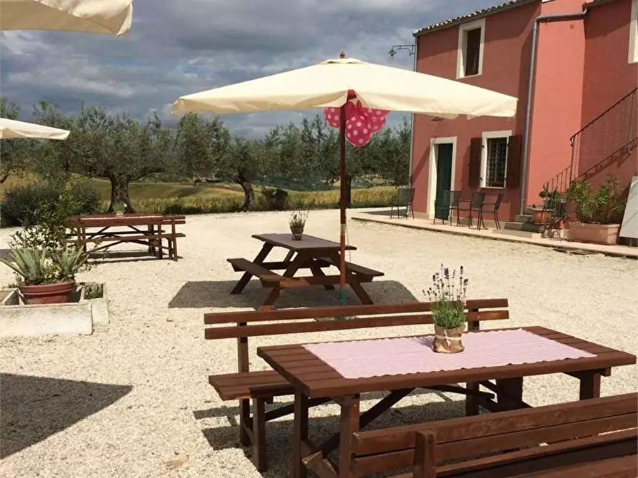 Immagine 9 di Negozio in affitto  a Città Sant'angelo