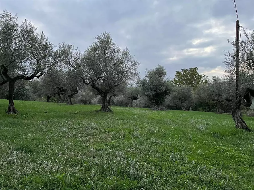 Immagine 1 di Terreno edificabile in vendita  in strada comunale piana a Pianella