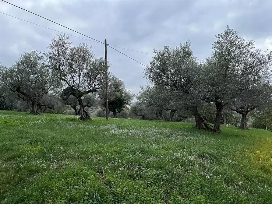 Immagine 2 di Terreno edificabile in vendita  in strada comunale piana a Pianella