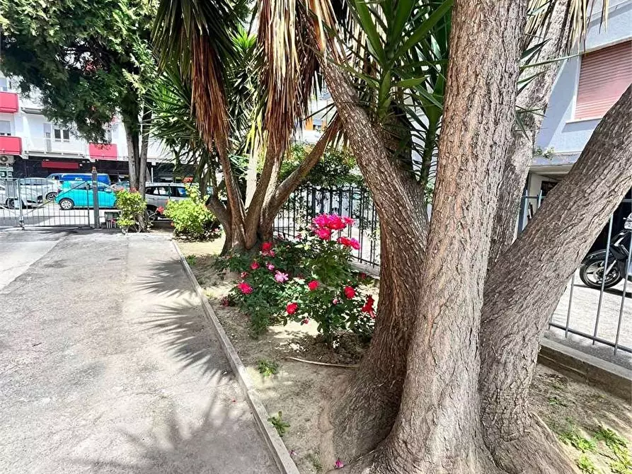 Immagine 4 di Quadrilocale in vendita  a Pescara