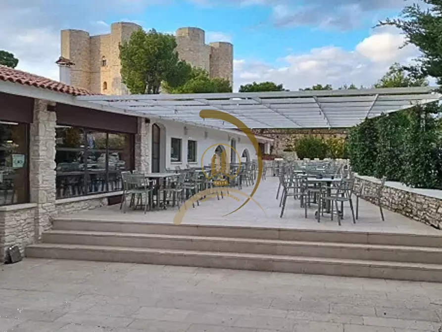 Immagine 3 di Negozio in vendita  in Strada statale 170 per castel del monte a Andria