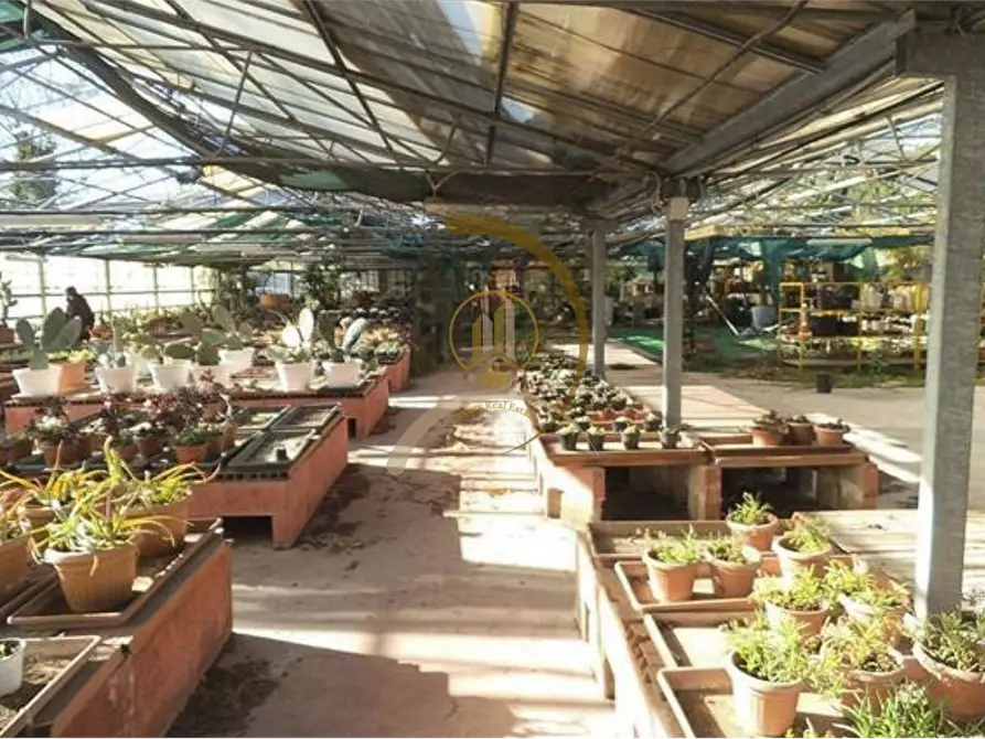 Immagine 1 di Magazzino in vendita  in Via Bitritto  a Bari