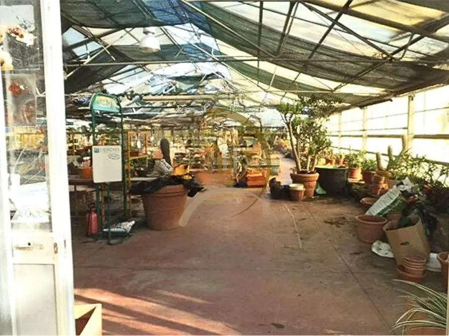 Immagine 3 di Magazzino in vendita  in Via Bitritto  a Bari