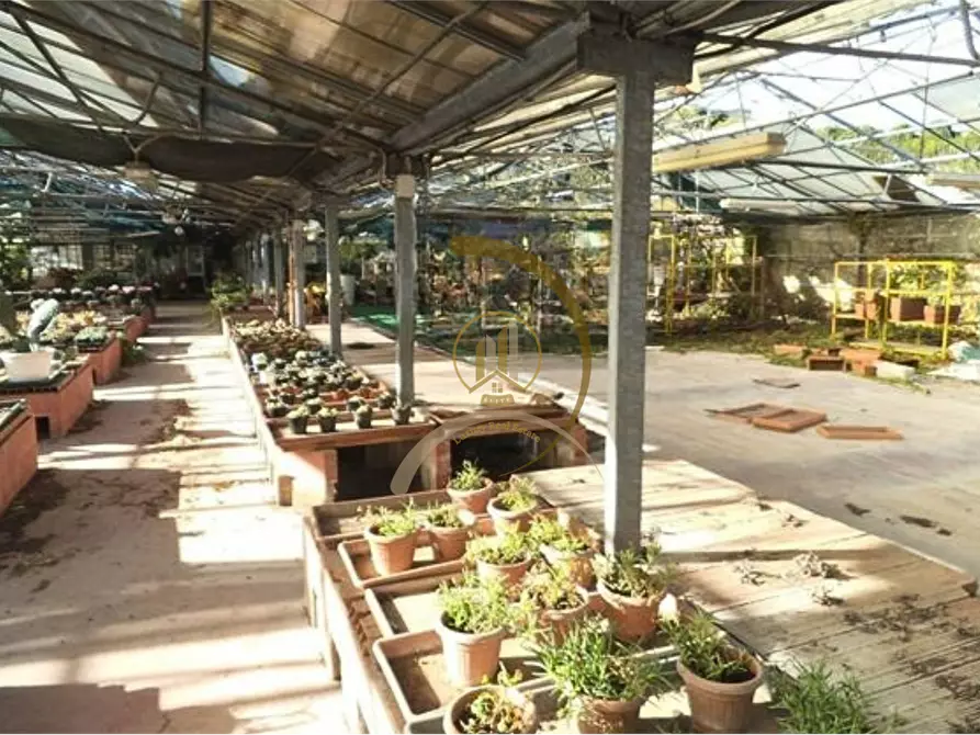 Immagine 4 di Magazzino in vendita  in Via Bitritto  a Bari