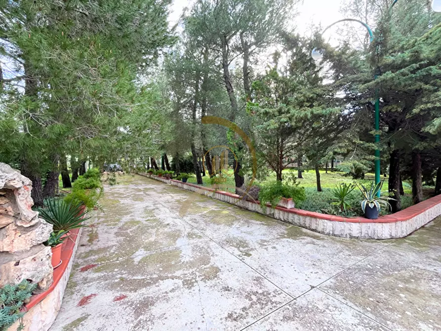 Immagine 17 di Villa in vendita  in Viale delle Rose  a Andria