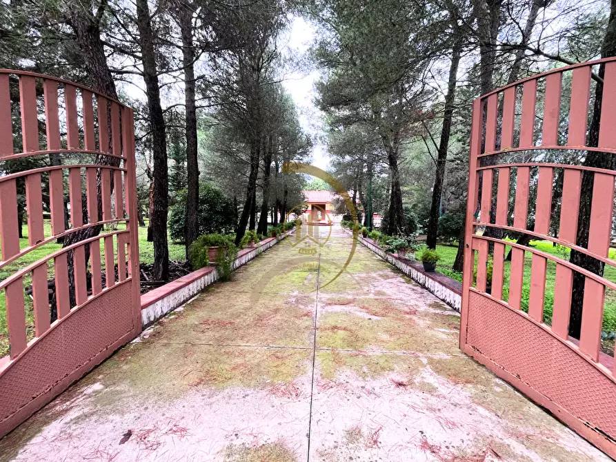 Immagine 3 di Villa in vendita  in Viale delle Rose  a Andria