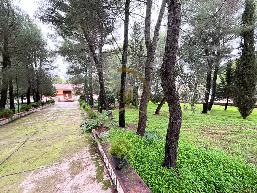 Immagine 4 di Villa in vendita  in Viale delle Rose  a Andria