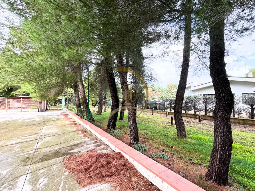 Immagine 16 di Villa in vendita  in Viale delle Rose  a Andria