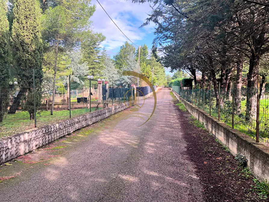 Immagine 19 di Villa in vendita  in Viale delle Rose  a Andria