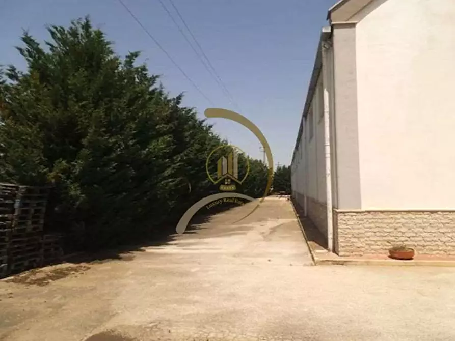 Immagine 4 di Capannone industriale in vendita  in strada provinciale 231 a Andria