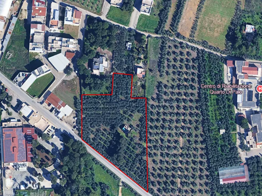 Immagine 1 di Terreno agricolo in vendita  in Via Corato  a Andria