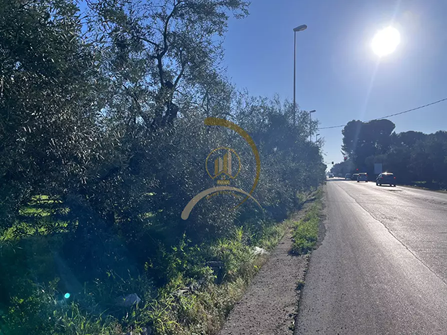 Immagine 5 di Terreno agricolo in vendita  in Via Corato  a Andria
