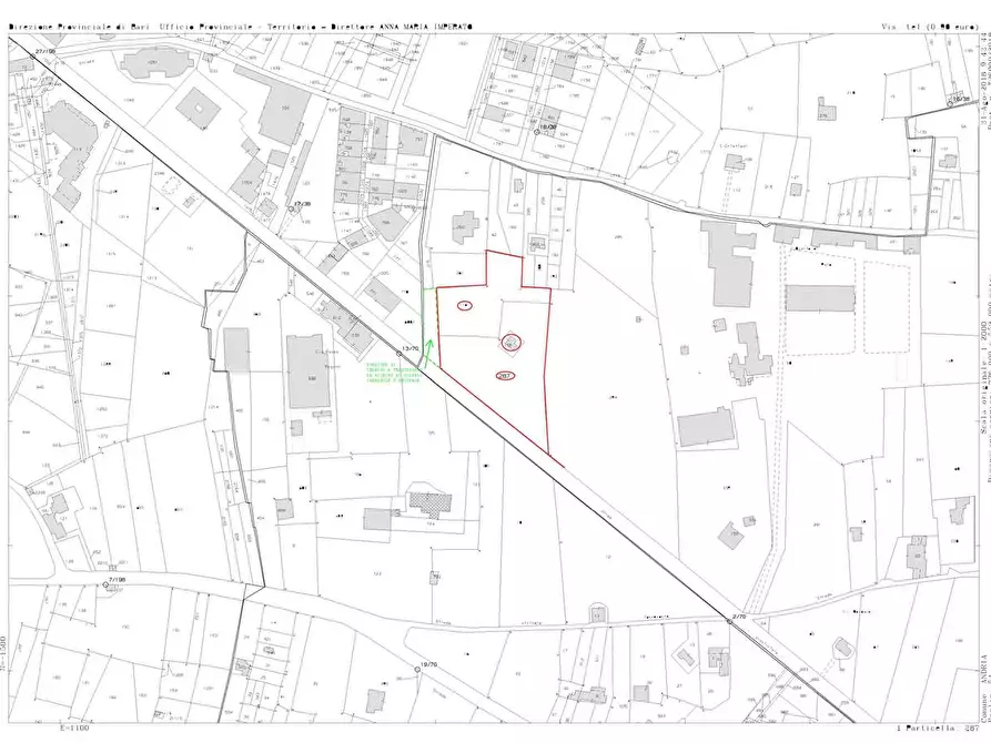 Immagine 3 di Terreno agricolo in vendita  in Via Corato  a Andria
