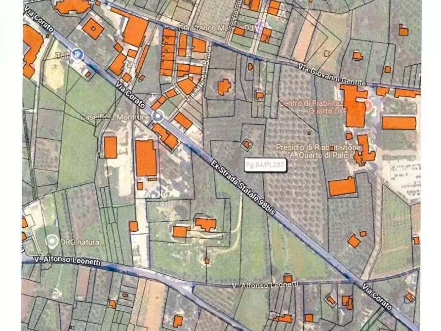 Immagine 2 di Terreno agricolo in vendita  in Via Corato  a Andria