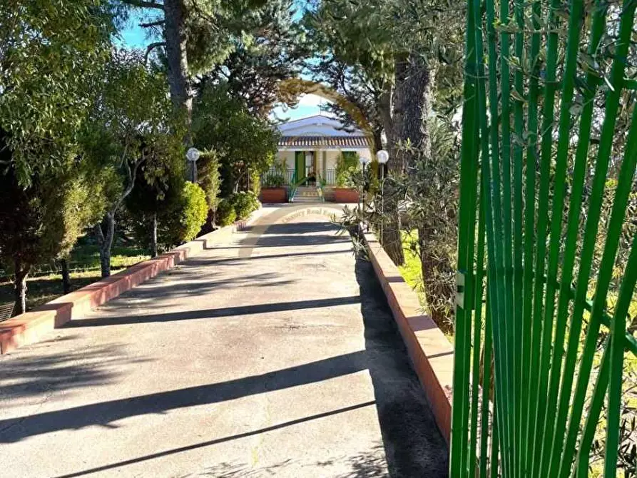 Immagine 4 di Villa in vendita  in Contrada coda di volpe  a Andria