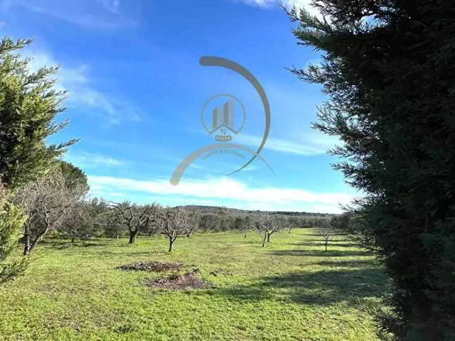 Immagine 21 di Villa in vendita  in Contrada coda di volpe  a Andria