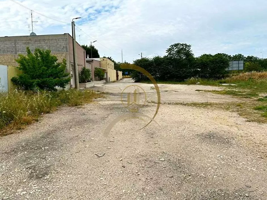 Immagine 3 di Terreno edificabile in vendita  a Andria