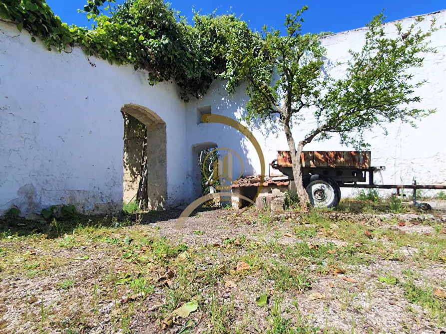 Immagine 3 di Villa in vendita  in Contrada Monte Carafa  a Andria