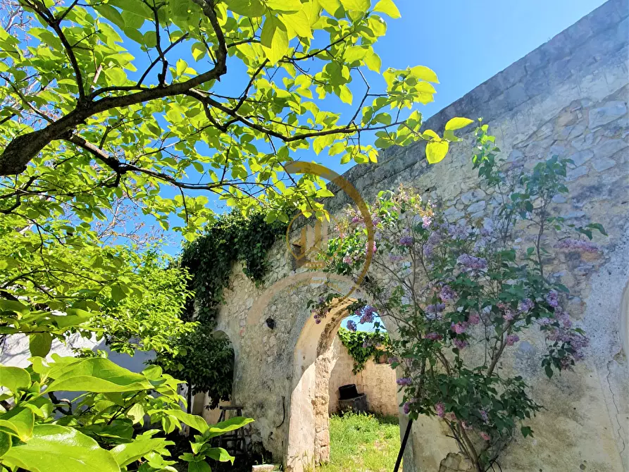 Immagine 4 di Villa in vendita  in Contrada Monte Carafa  a Andria