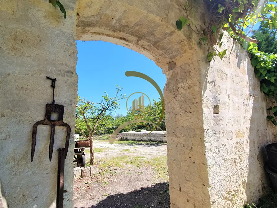 Immagine 5 di Villa in vendita  in Contrada Monte Carafa  a Andria