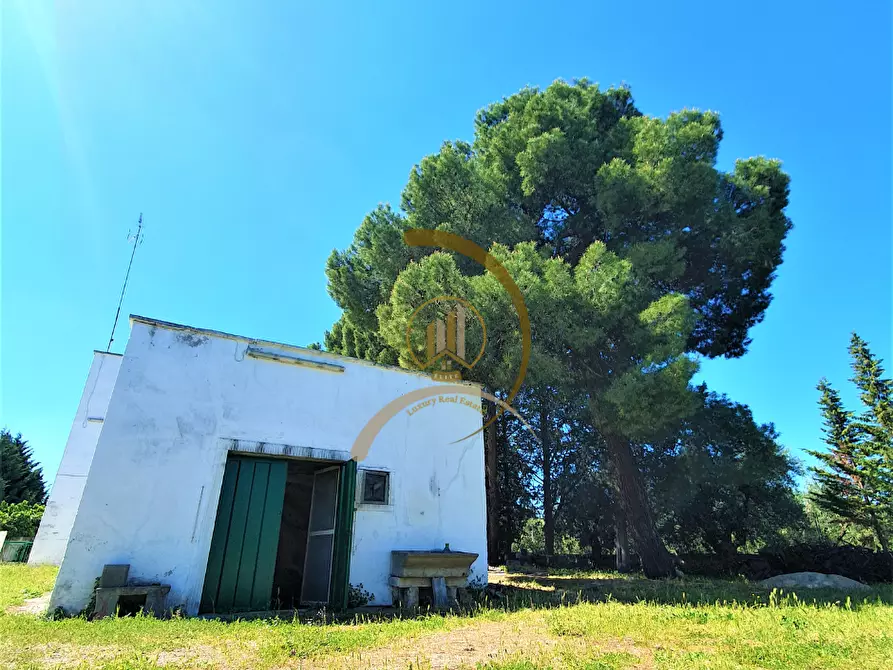 Immagine 6 di Villa in vendita  in Contrada Monte Carafa  a Andria