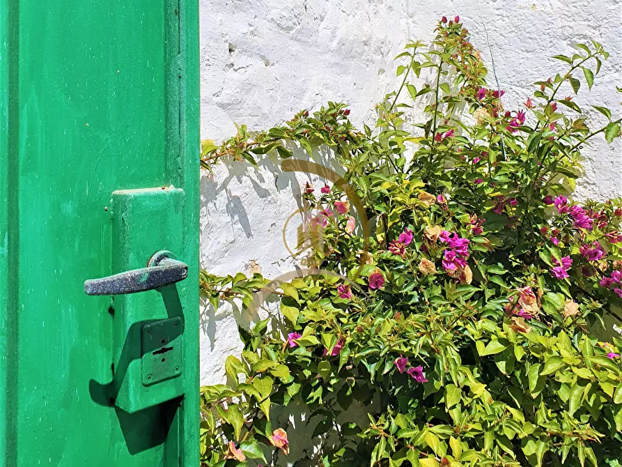 Immagine 16 di Villa in vendita  in Contrada Monte Carafa  a Andria
