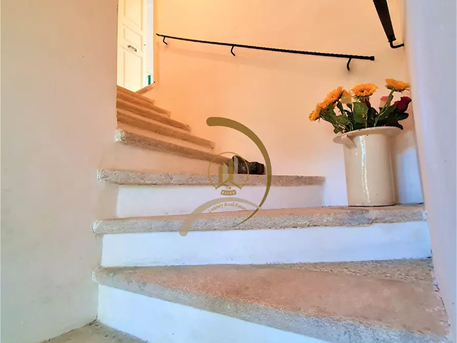 Immagine 19 di Villa in vendita  in Contrada Monte Carafa  a Andria