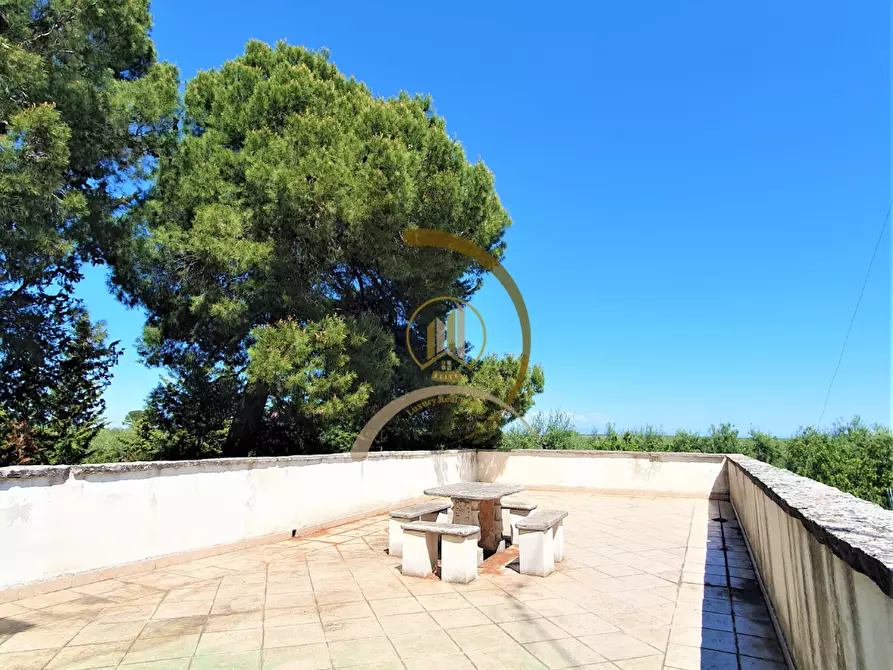 Immagine 22 di Villa in vendita  in Contrada Monte Carafa  a Andria