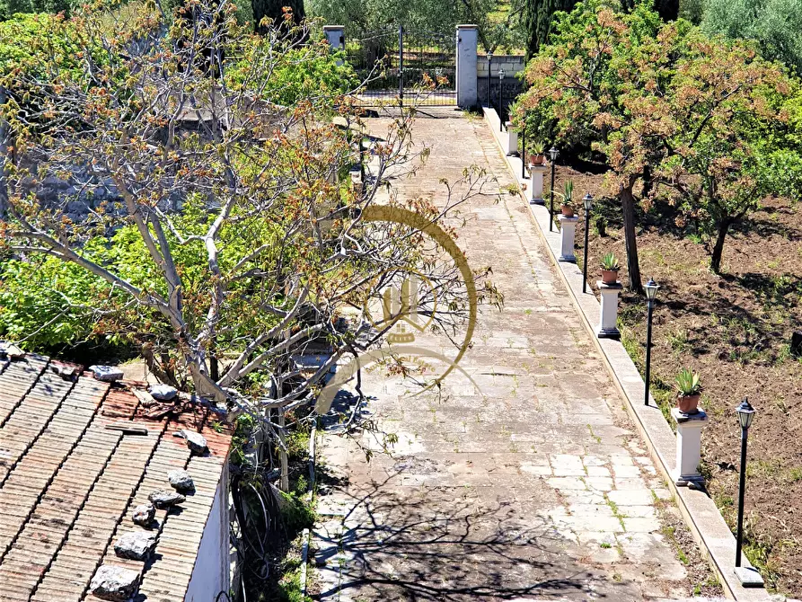 Immagine 29 di Villa in vendita  in Contrada Monte Carafa  a Andria