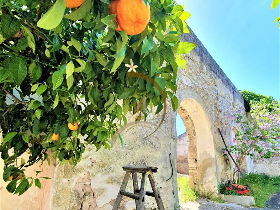 Immagine 30 di Villa in vendita  in Contrada Monte Carafa  a Andria