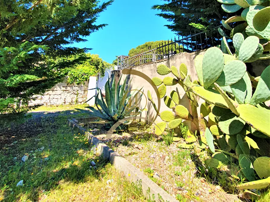 Immagine 33 di Villa in vendita  in Contrada Monte Carafa  a Andria