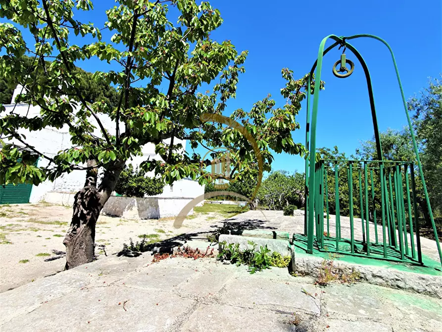 Immagine 34 di Villa in vendita  in Contrada Monte Carafa  a Andria