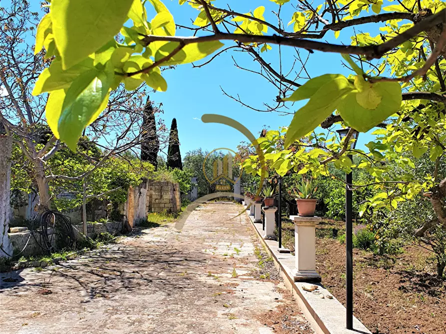Immagine 35 di Villa in vendita  in Contrada Monte Carafa  a Andria
