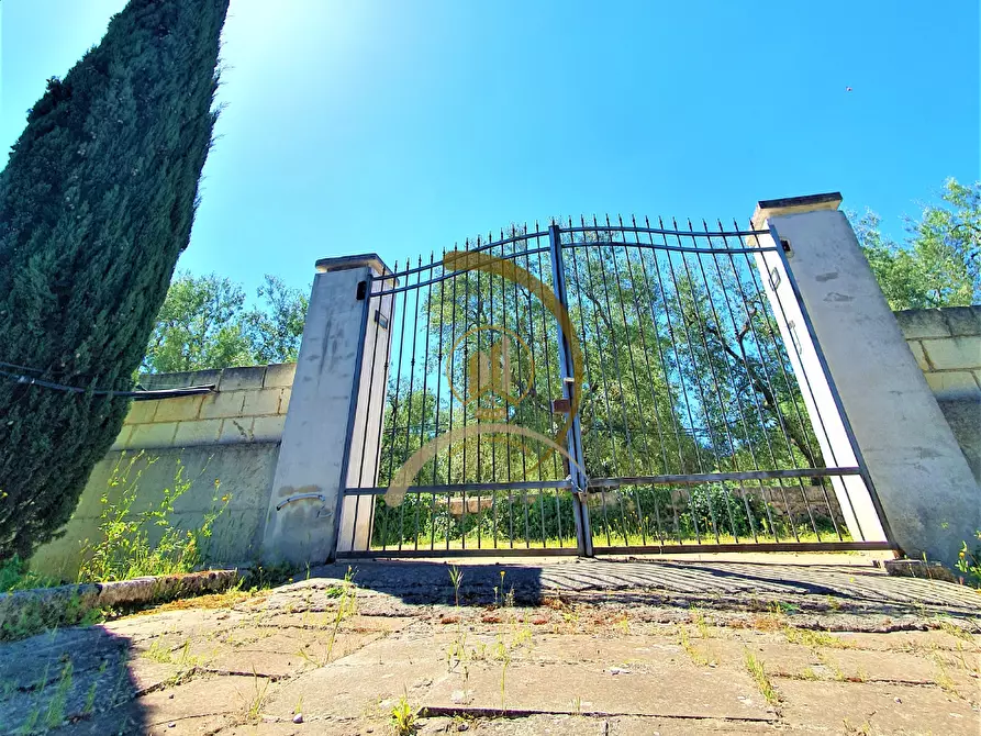 Immagine 36 di Villa in vendita  in Contrada Monte Carafa  a Andria