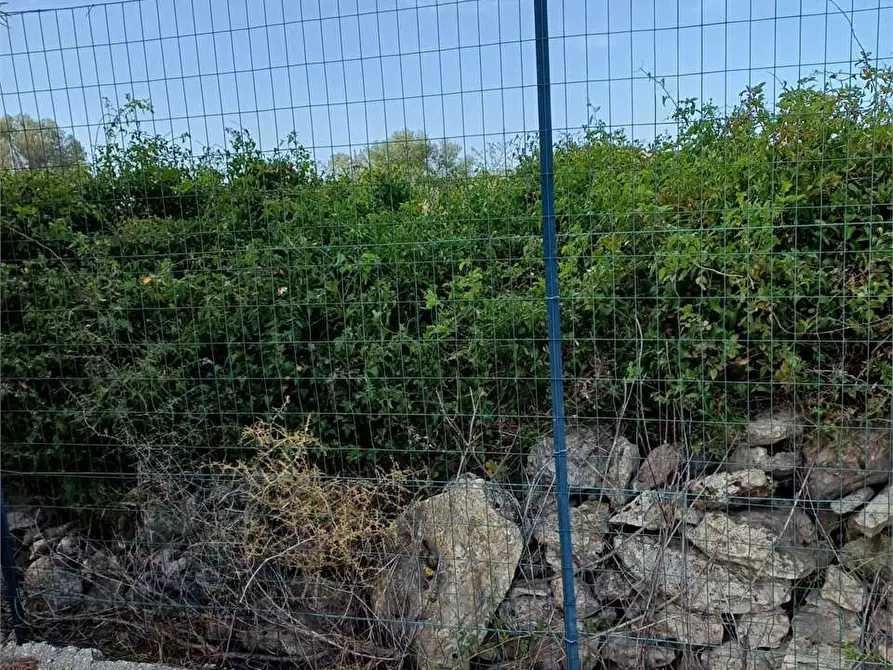 terreno agricolo in vendita a Siracusa